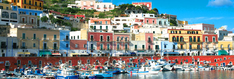 Disinfestazioni blatta americana periplaneta a Ponza Disinfestazioni blatta americana periplaneta a Ponza