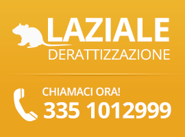 (c) Lazialederattizzazione.com